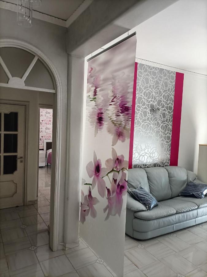 Butterfly House Bed & Breakfast กาสเตลลัมมาเร ดิ สตาเบีย ภายนอก รูปภาพ